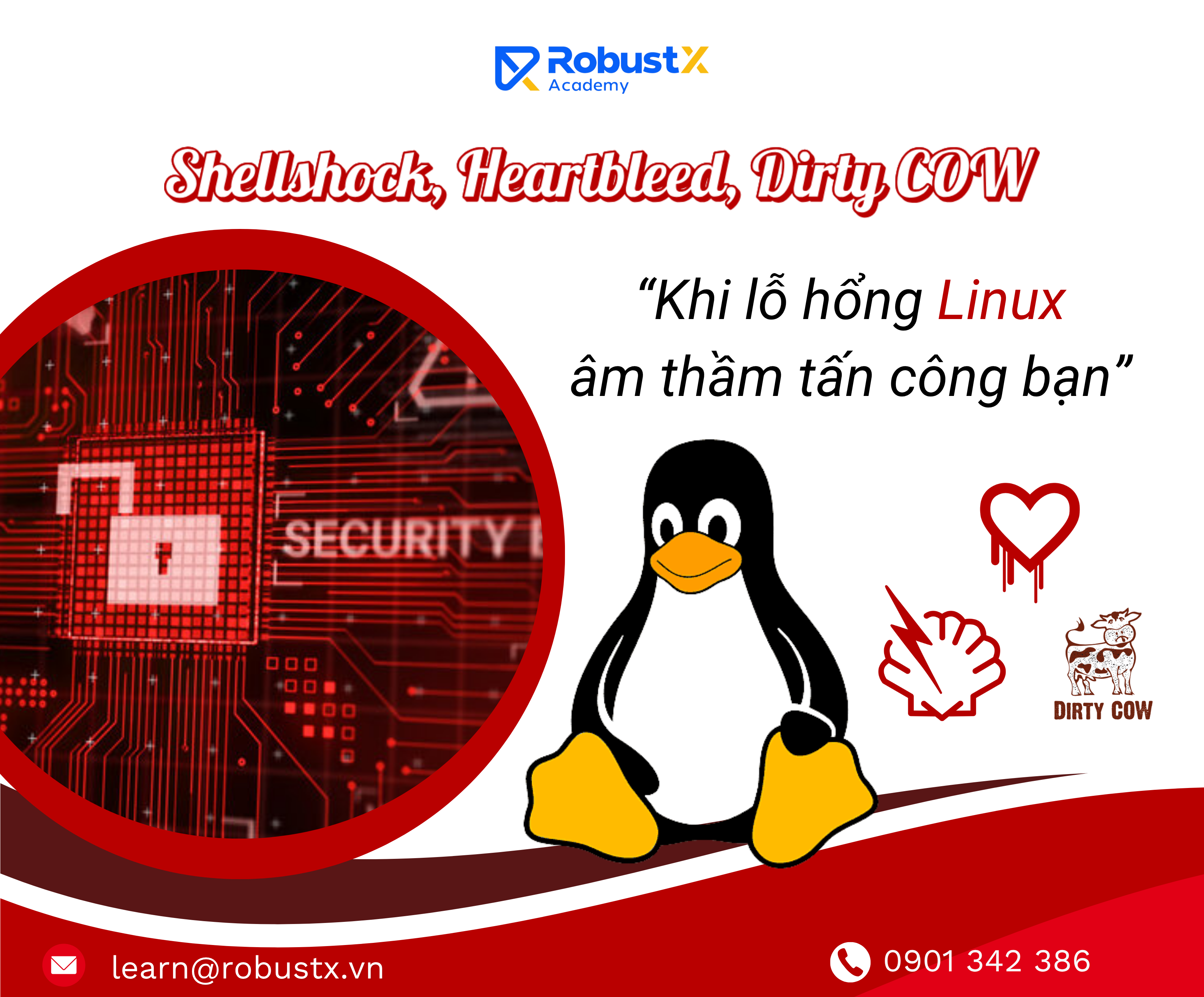 Shellshock, Heartbleed, Dirty COW – Khi lỗ hổng Linux giết bạn trong im lặng