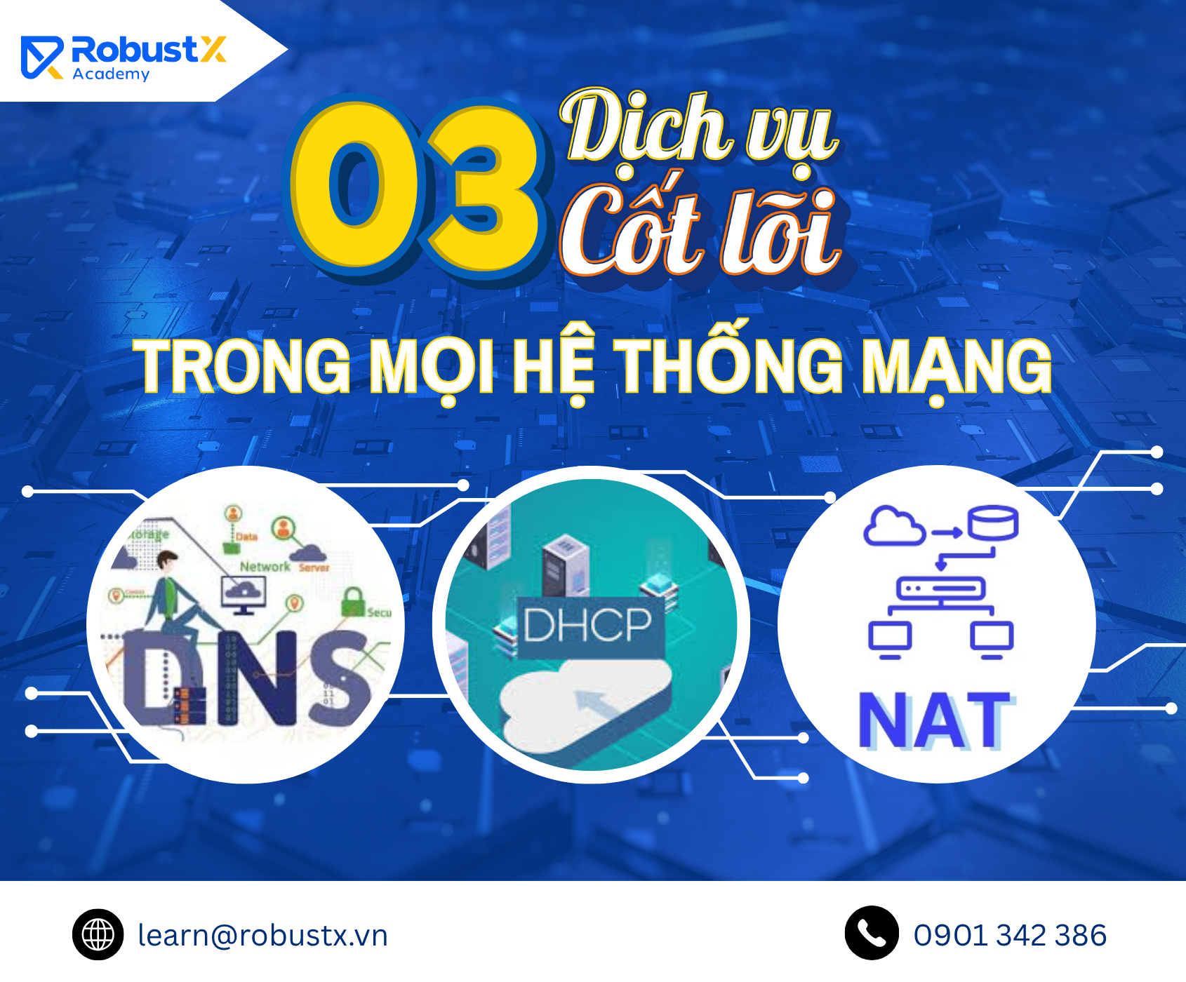 Hiểu DHCP, DNS, NAT – Ba dịch vụ cốt lõi trong mọi hệ thống mạng